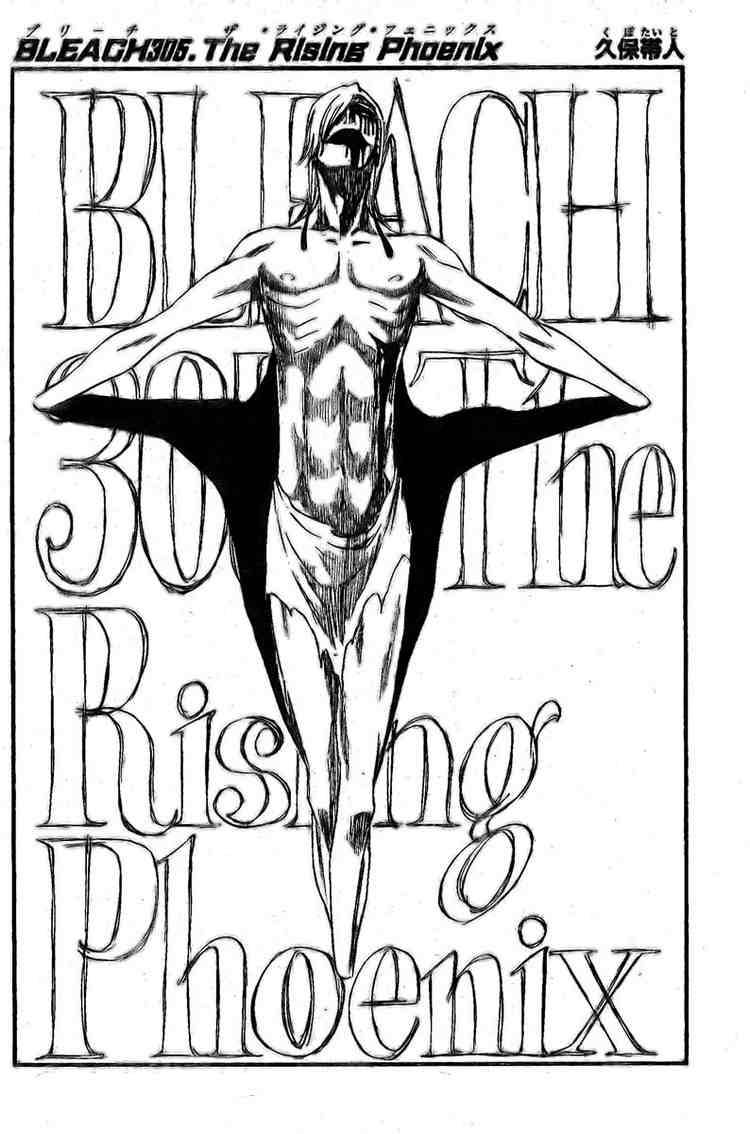 Bleach chapter 305 page 3