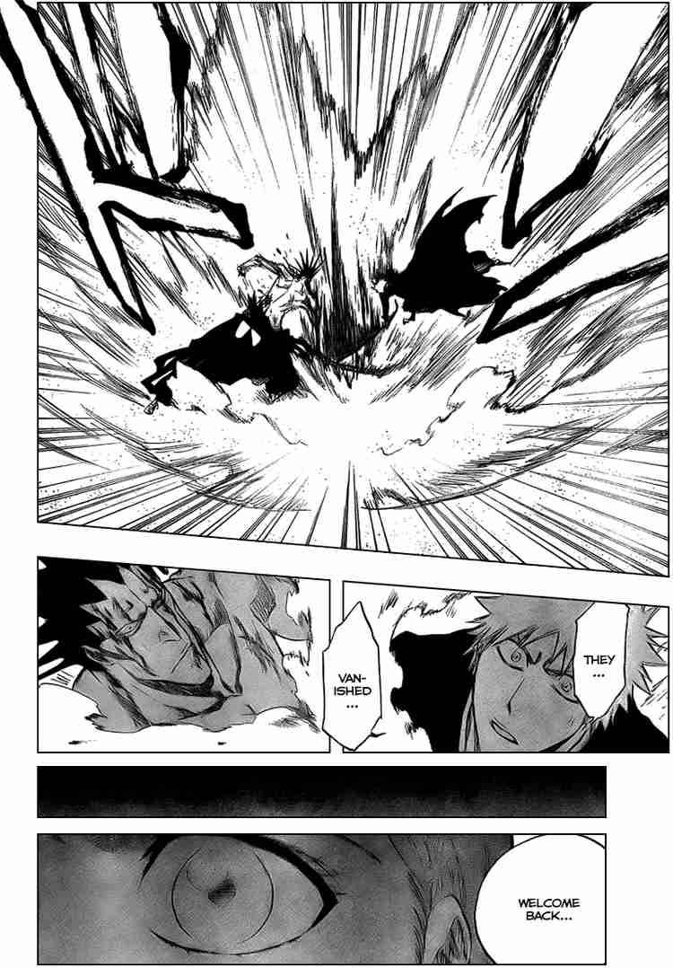 Bleach chapter 313 page 15