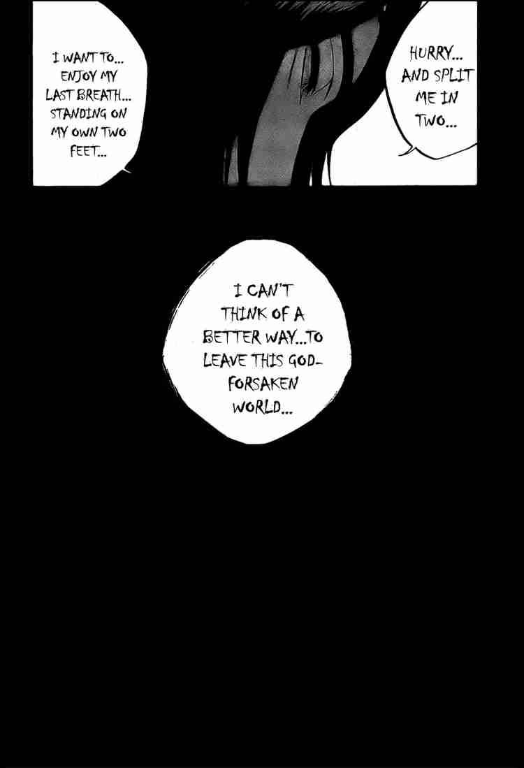 Bleach chapter 313 page 5