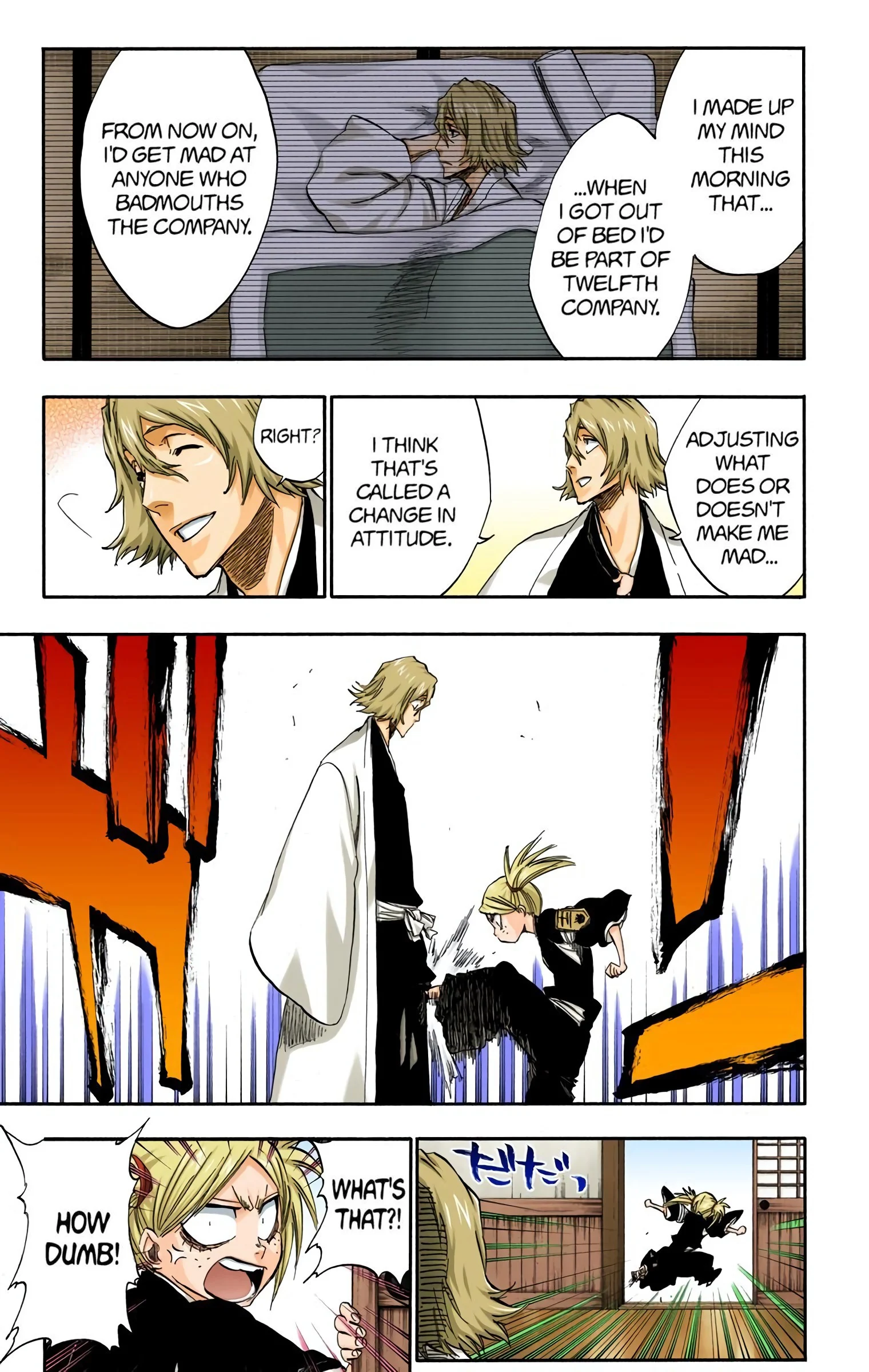Bleach chapter 315.2 page 13