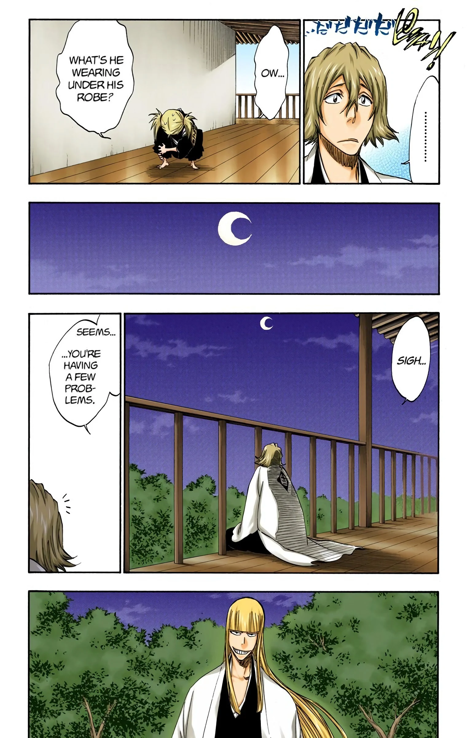 Bleach chapter 315.2 page 14