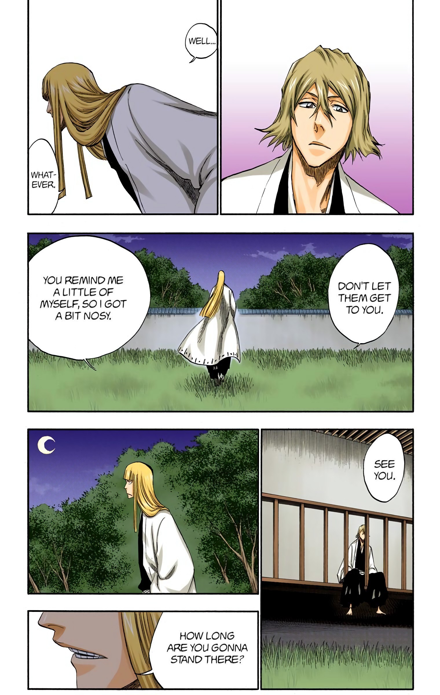Bleach chapter 315.2 page 17