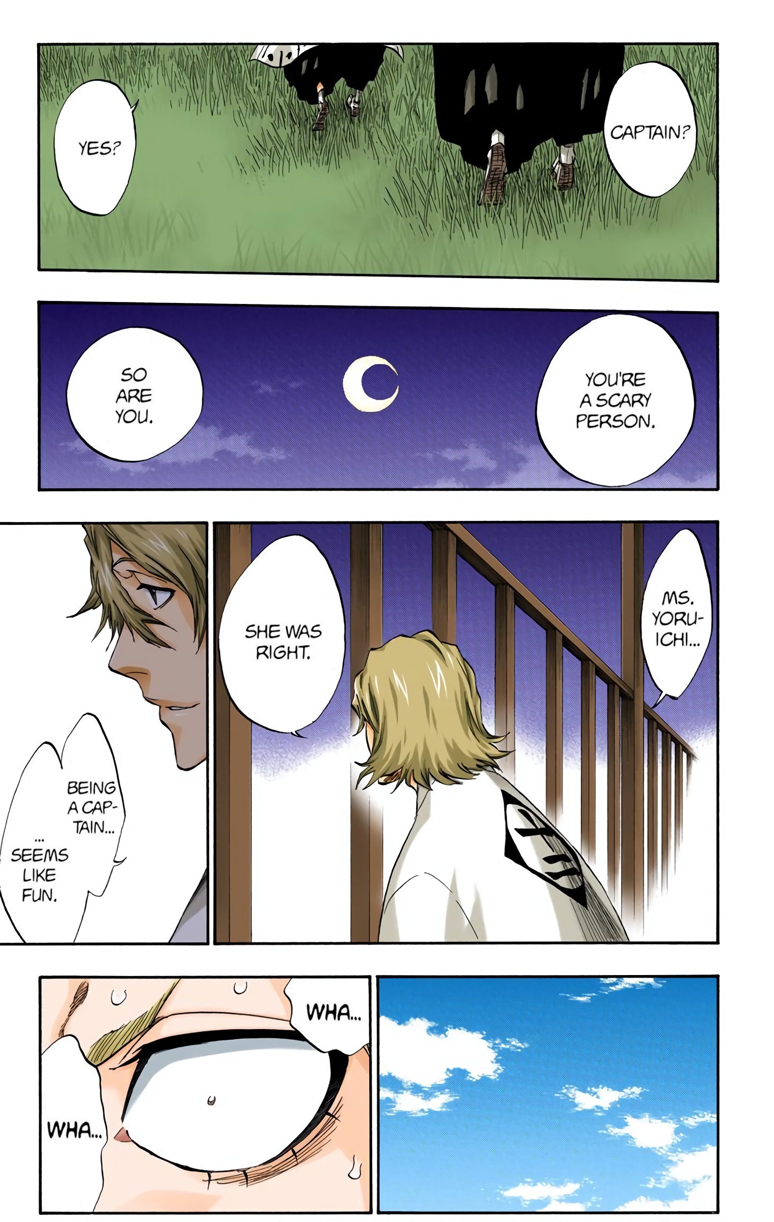 Bleach chapter 315.2 page 19