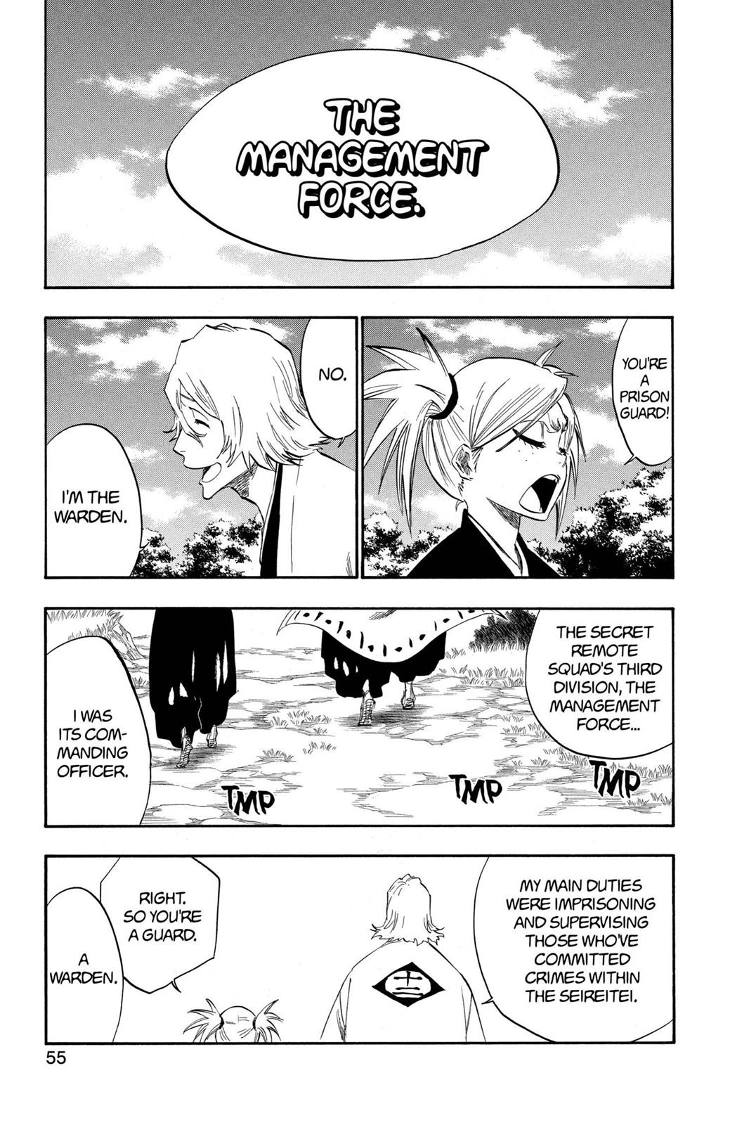 Bleach chapter 315.5 page 52