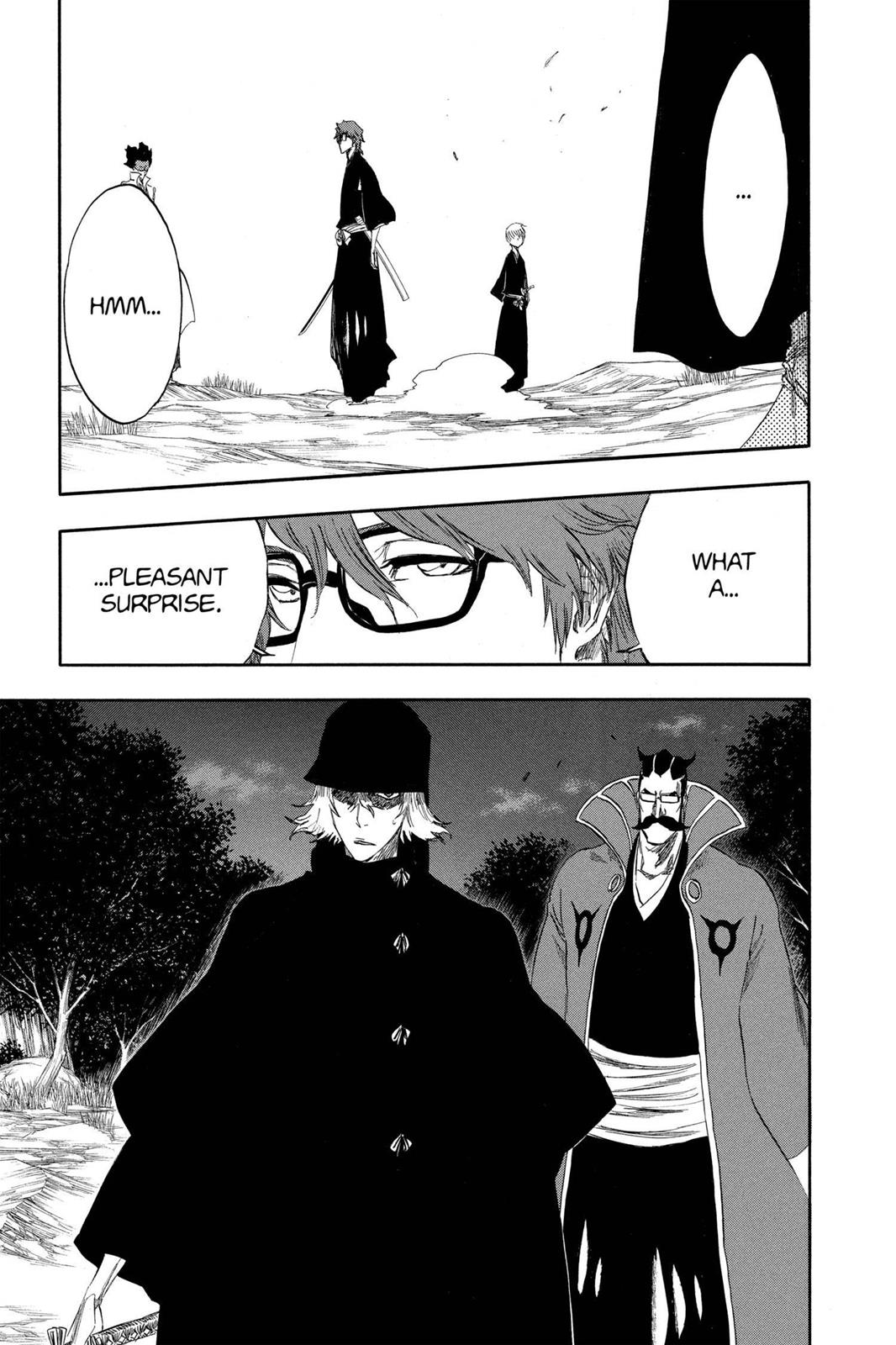 Bleach chapter 315.8 page 28