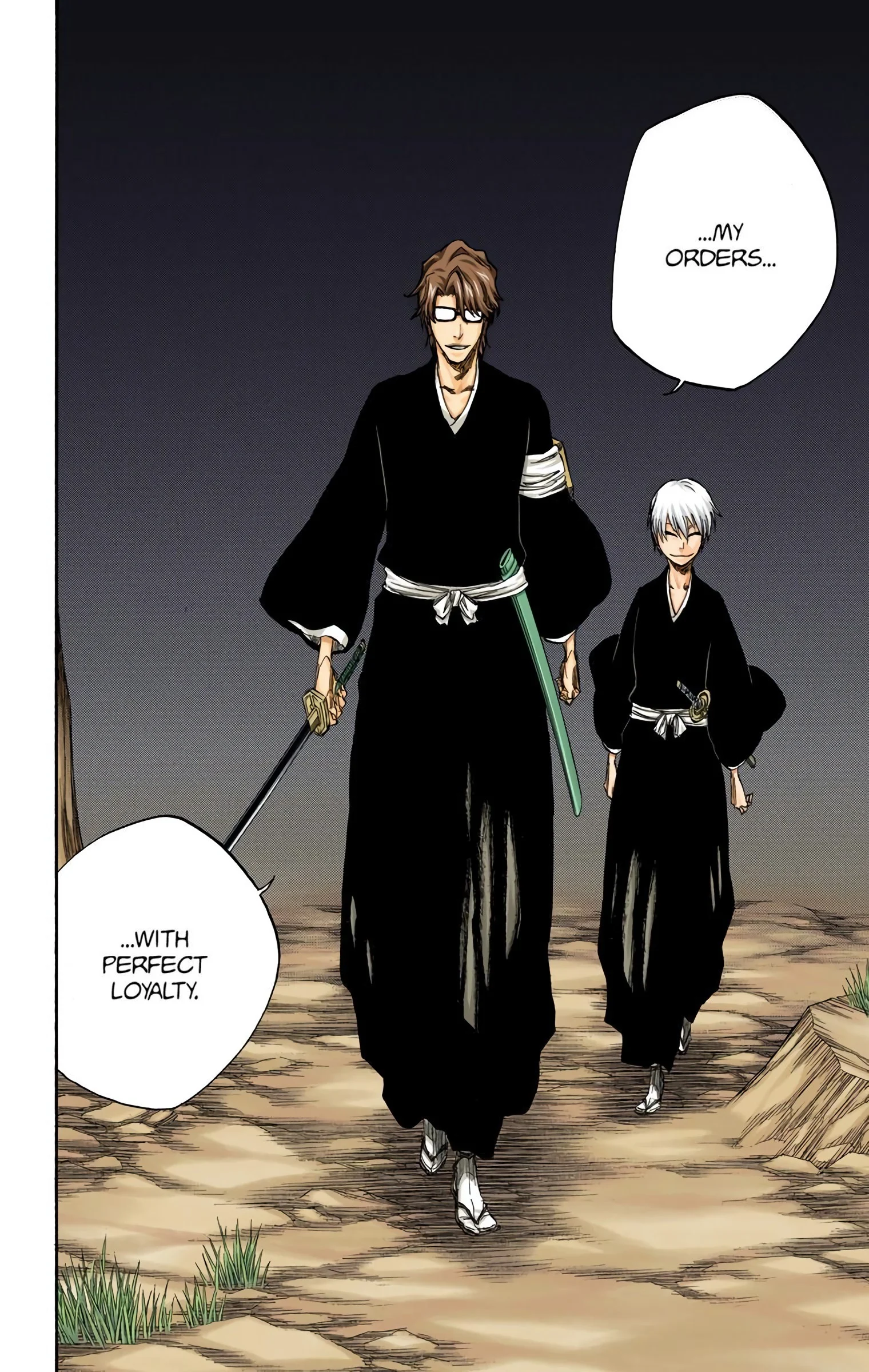 Bleach chapter 315.9 page 18