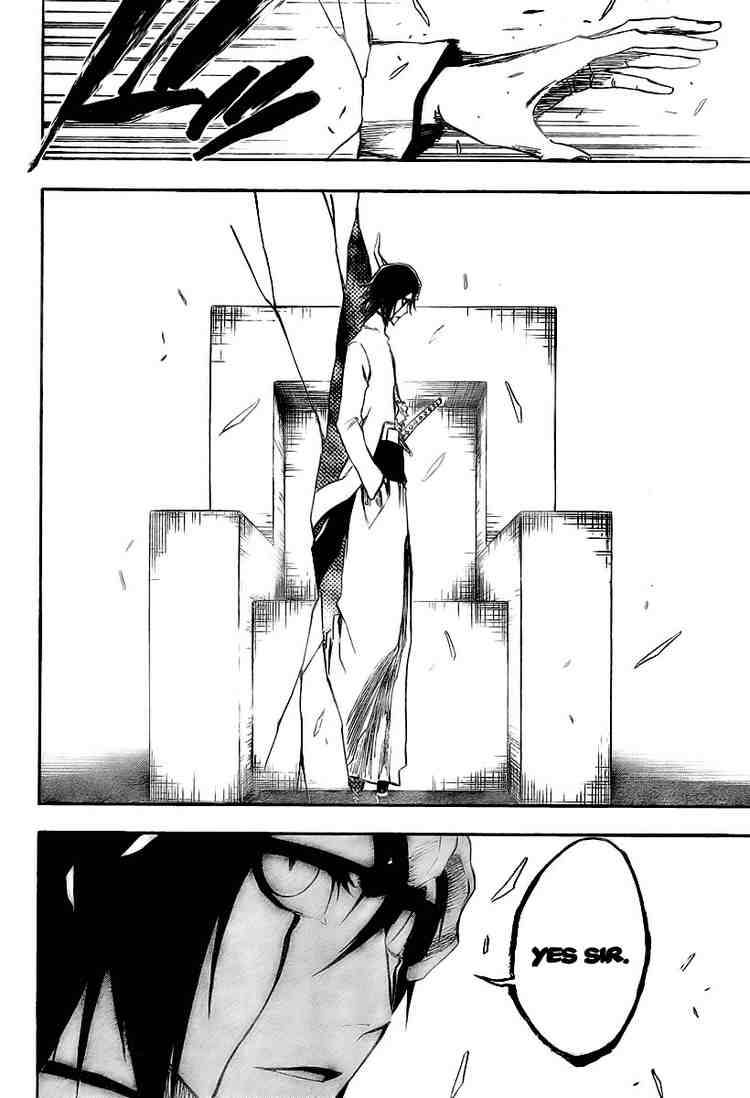 Bleach chapter 315 page 12