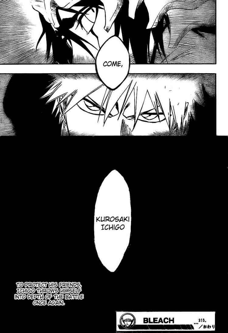 Bleach chapter 315 page 15