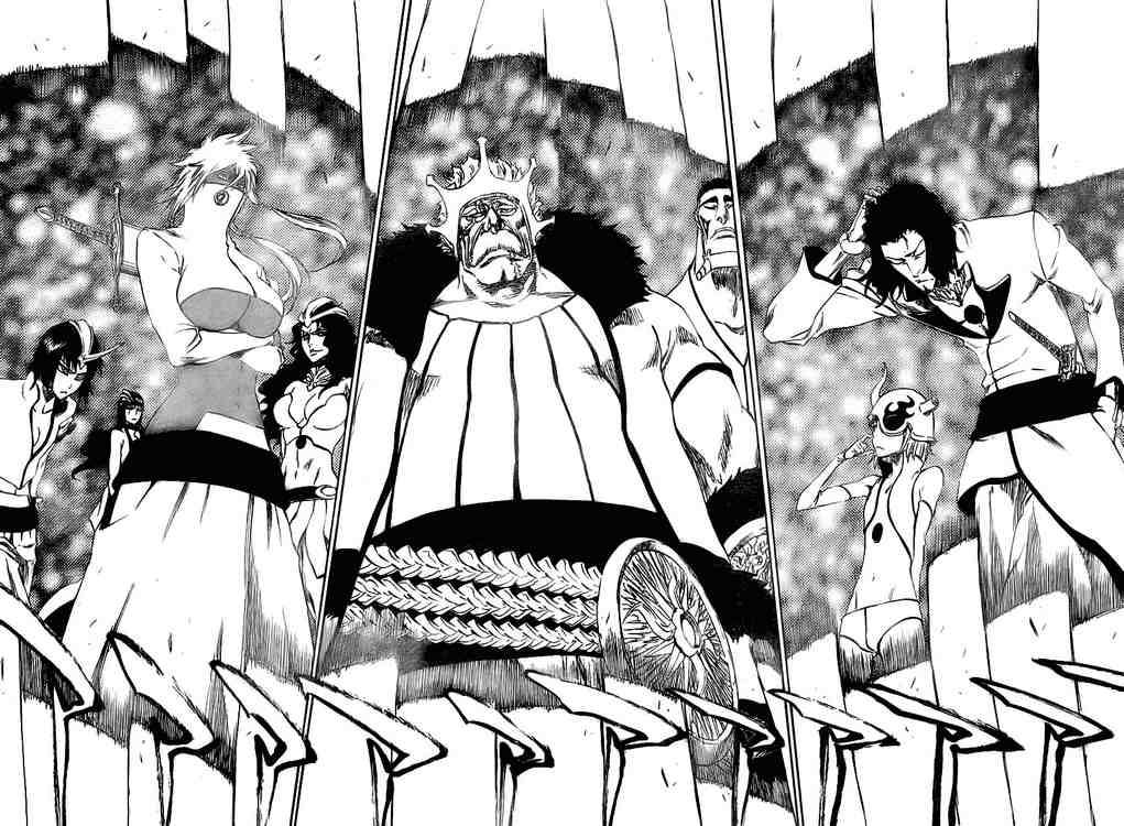 Bleach chapter 315 page 9