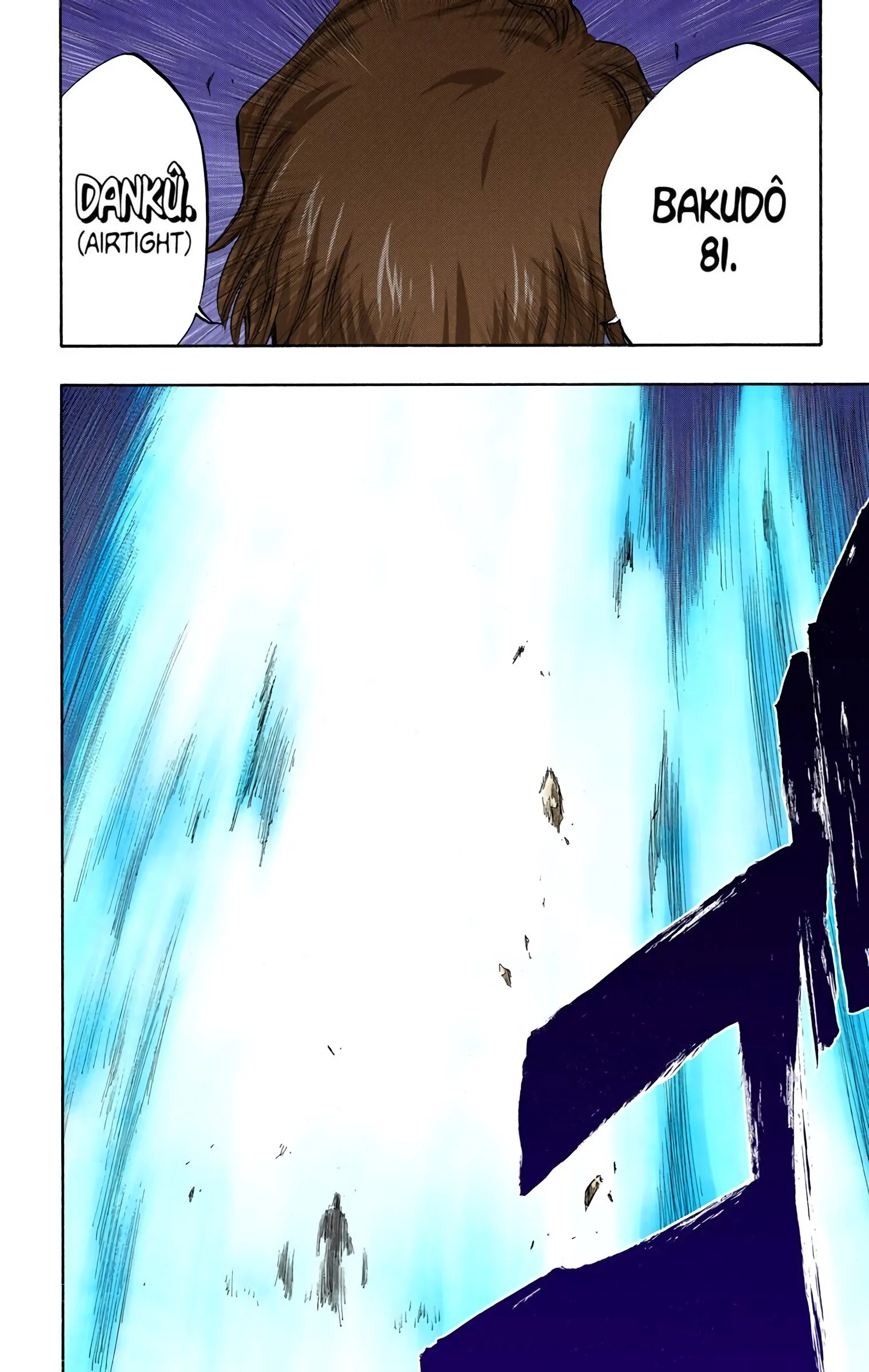 Bleach chapter 316.1 page 11