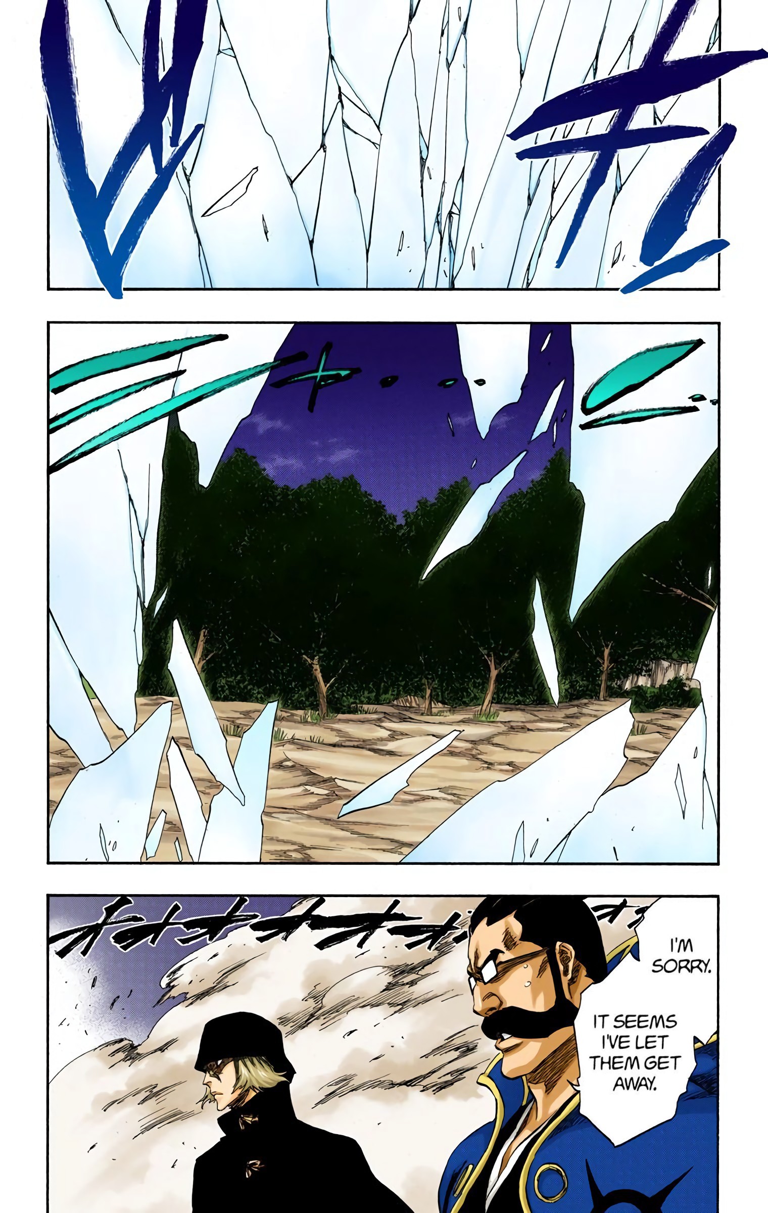 Bleach chapter 316.1 page 13