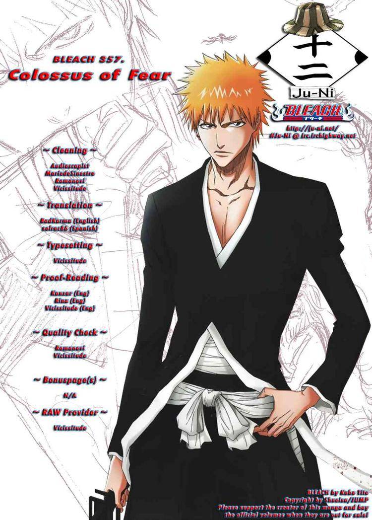 Bleach chapter 357 page 18