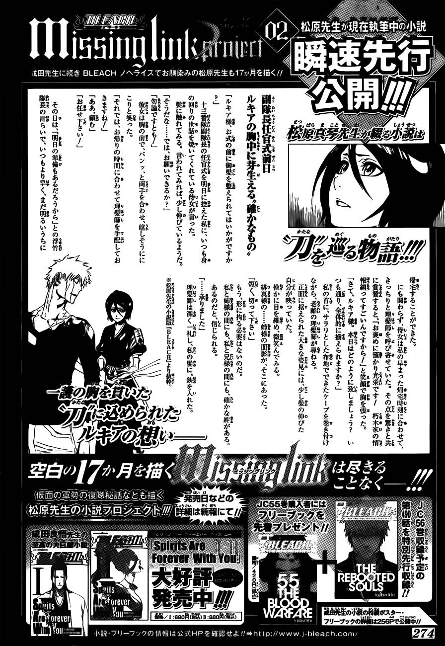 Bleach chapter 495 page 19