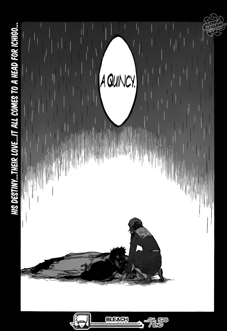 Bleach chapter 528 page 19