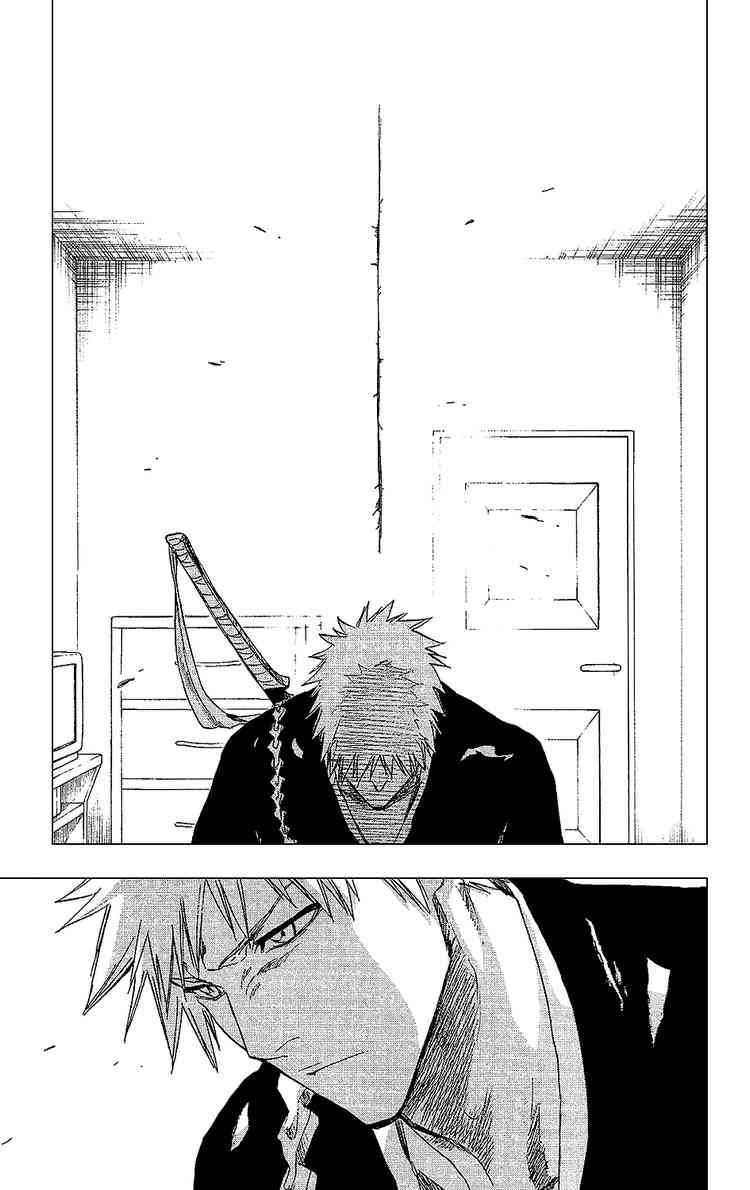 Bleach chapter 238 page 17