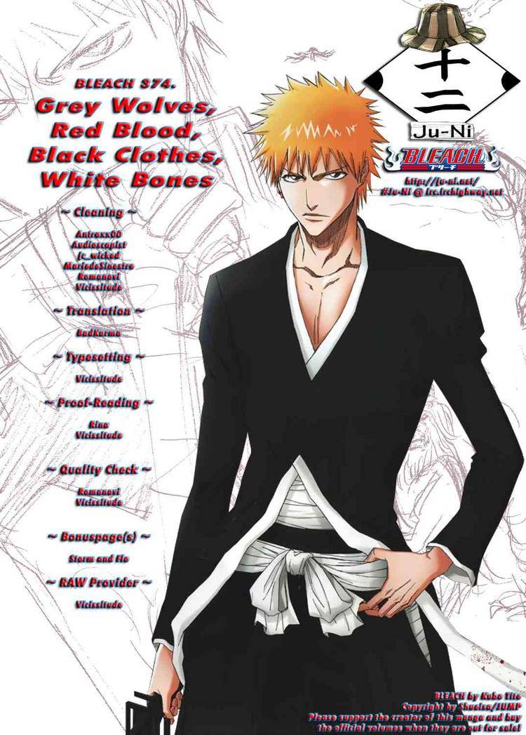 Bleach chapter 374 page 20