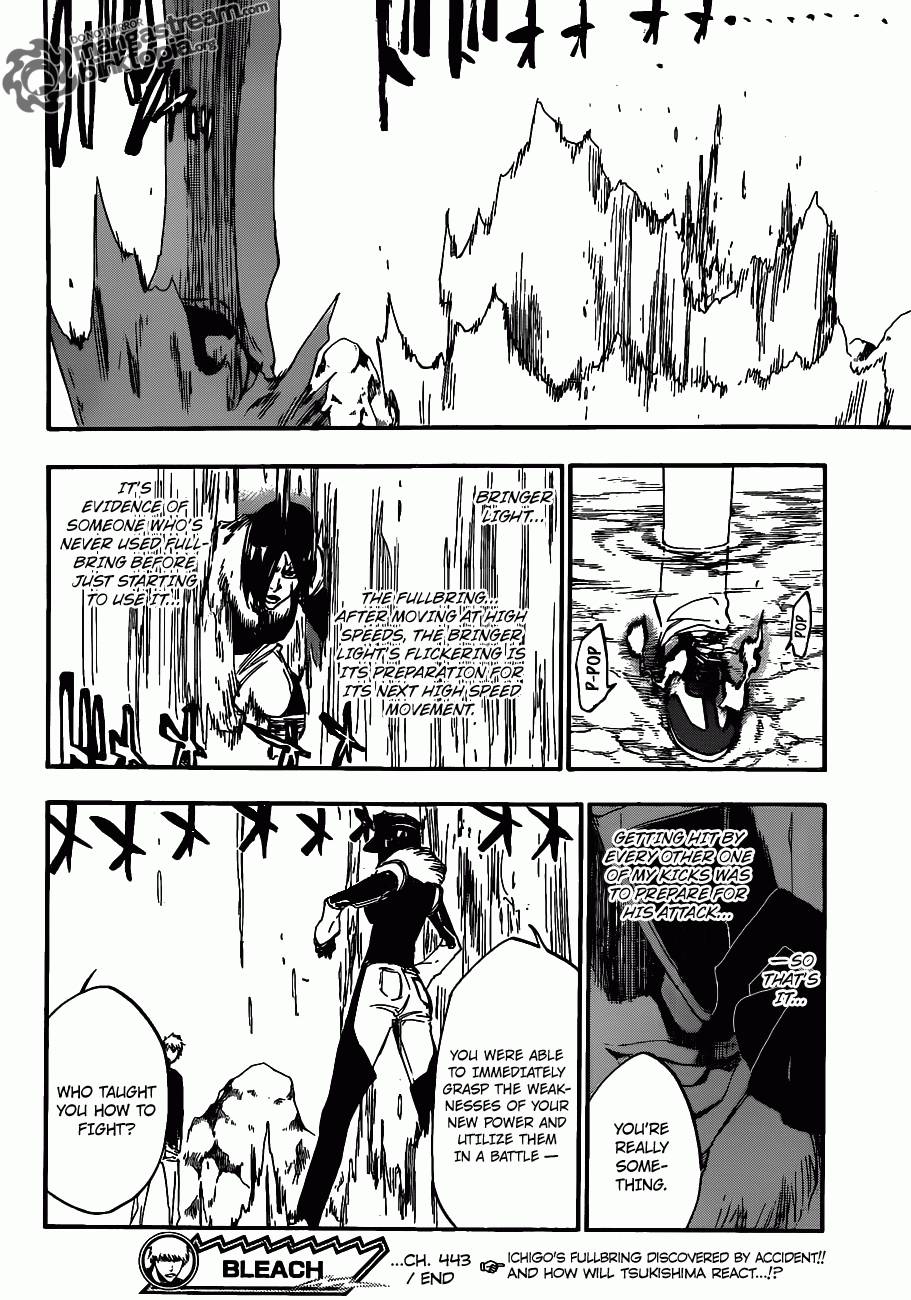 Bleach chapter 443 page 18