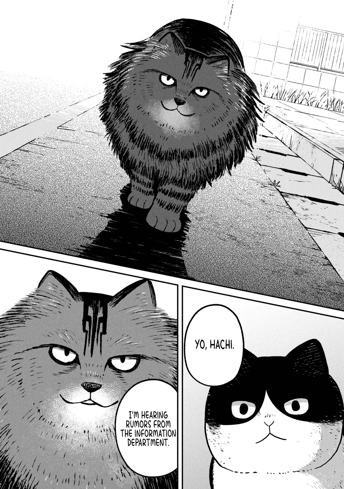 Cat Partners: Maruru and Hachi chapter 10 page 9