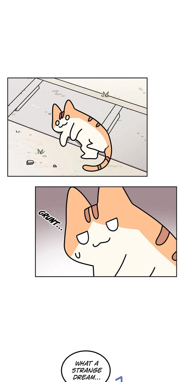 Cats Own the World chapter 116 page 12