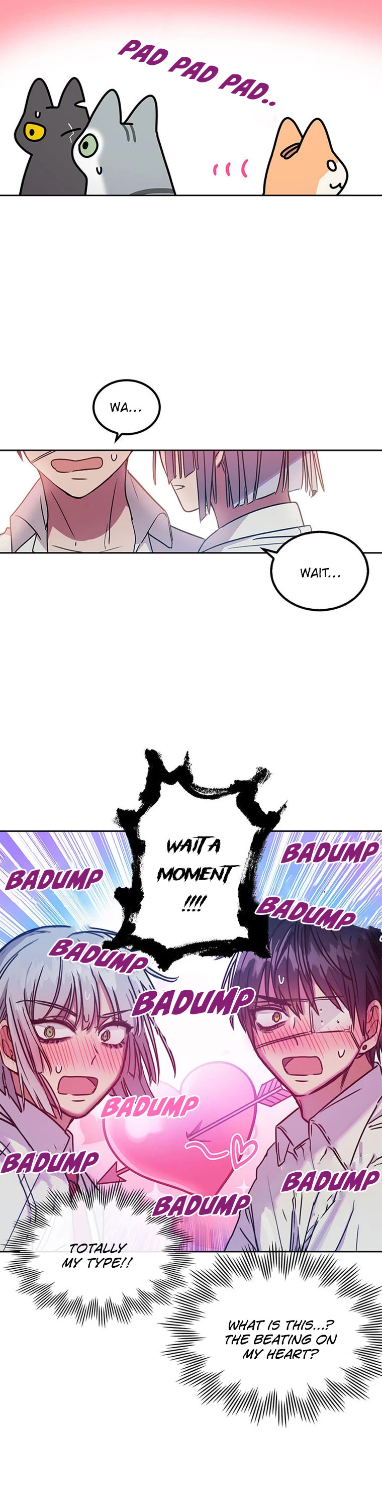 Cats Own the World chapter 116 page 8