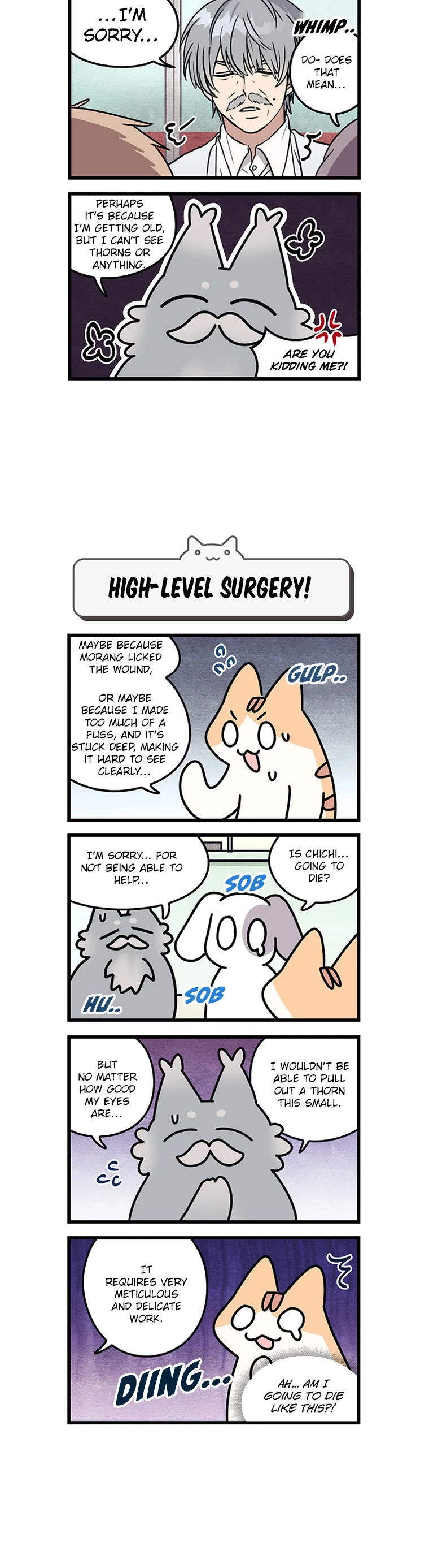 Cats Own the World chapter 122 page 4