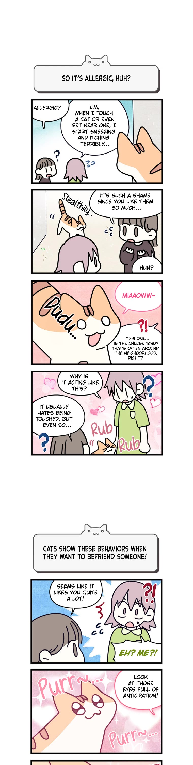 Cats Own the World chapter 146 page 3