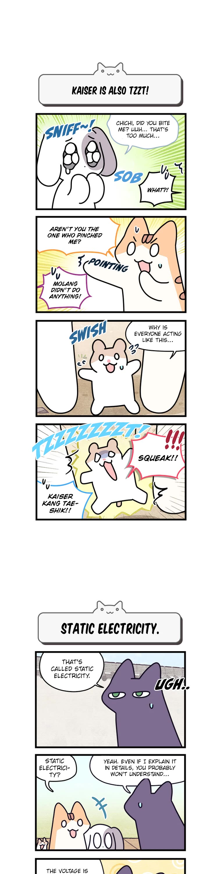 Cats Own the World chapter 178 page 3