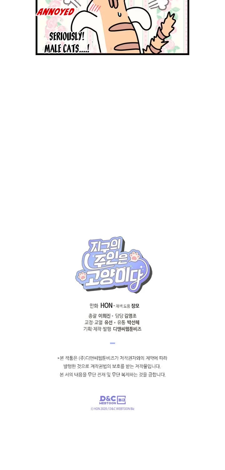 Cats Own the World chapter 206 page 7