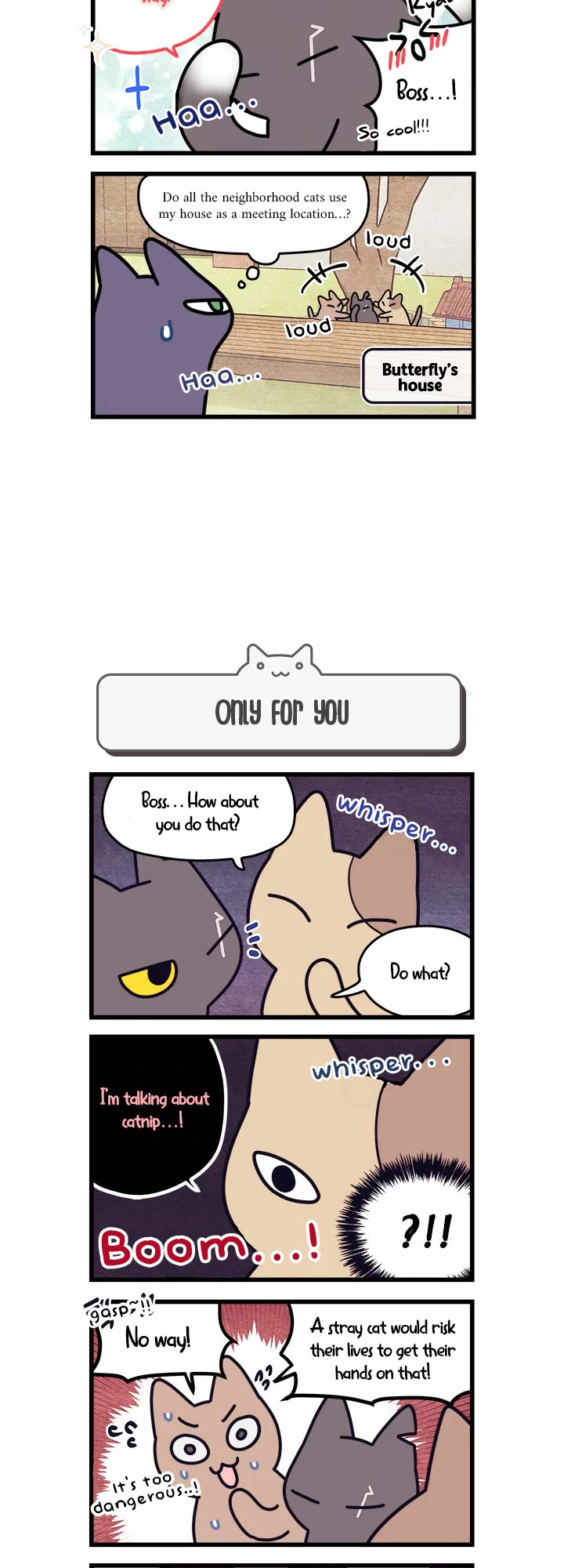Cats Own the World chapter 37 page 3