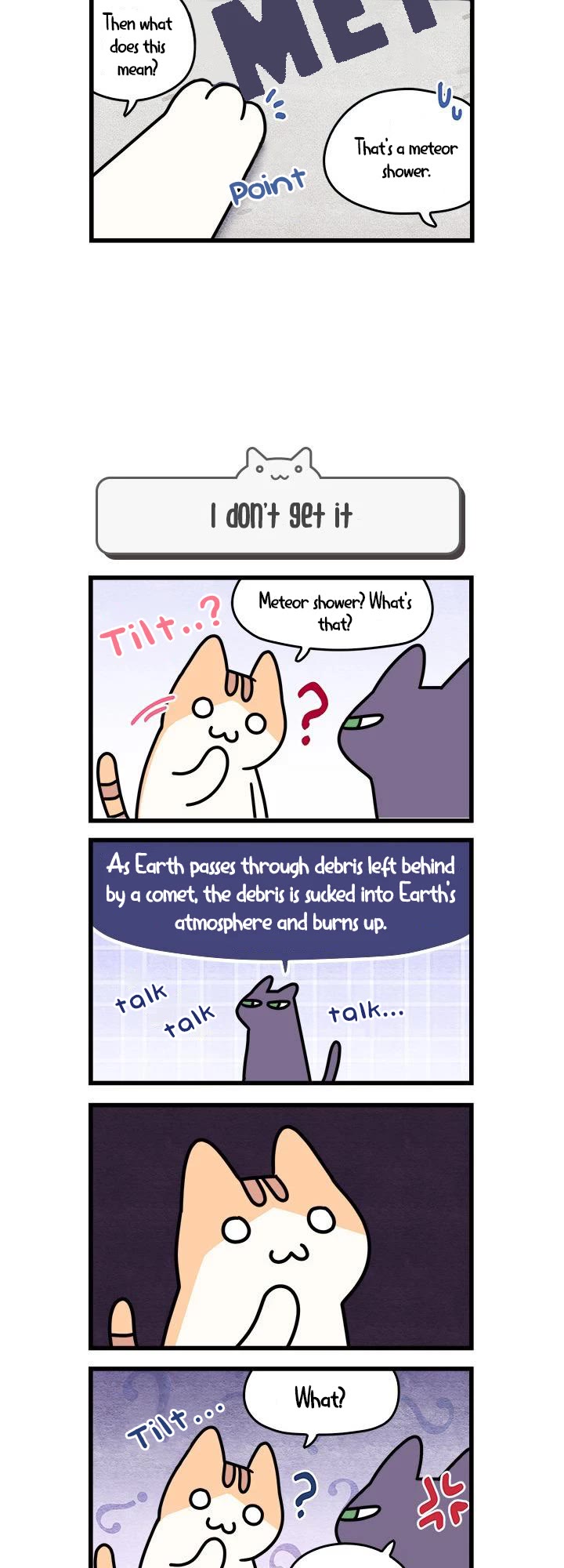 Cats Own the World chapter 39 page 4