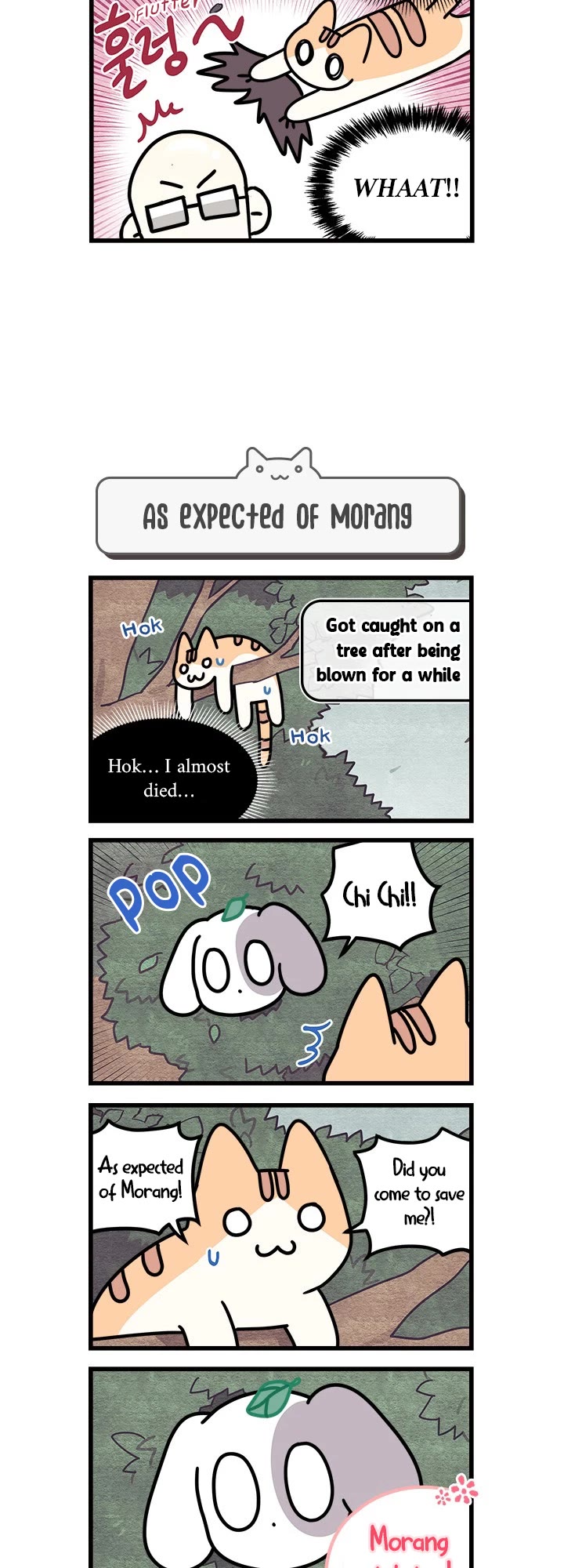 Cats Own the World chapter 41 page 4