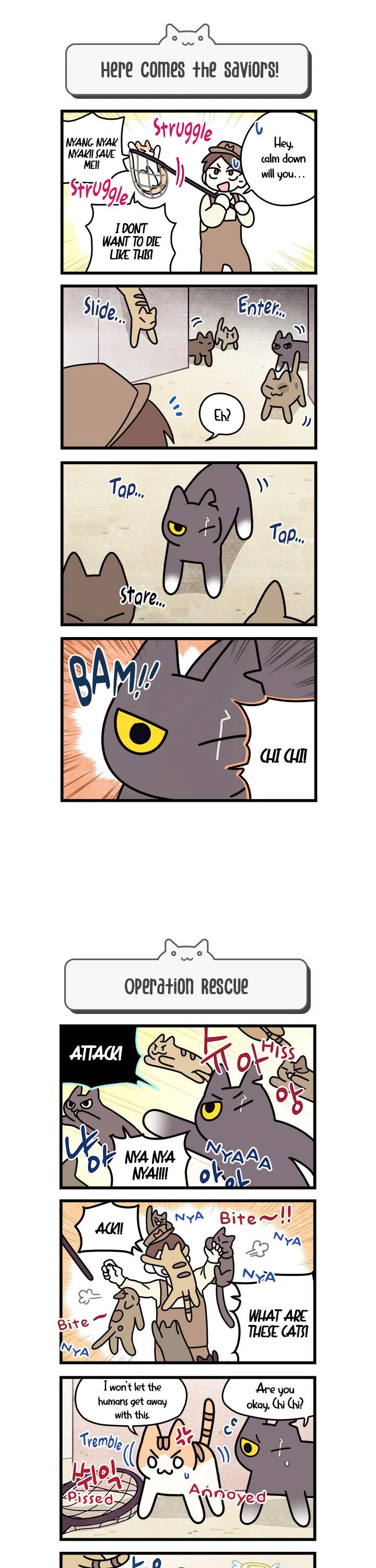 Cats Own the World chapter 50 page 2