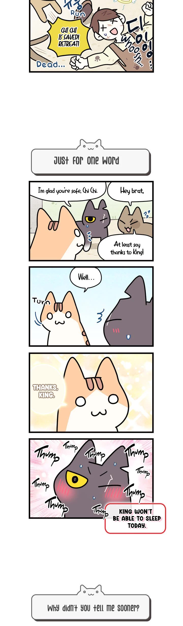 Cats Own the World chapter 50 page 3