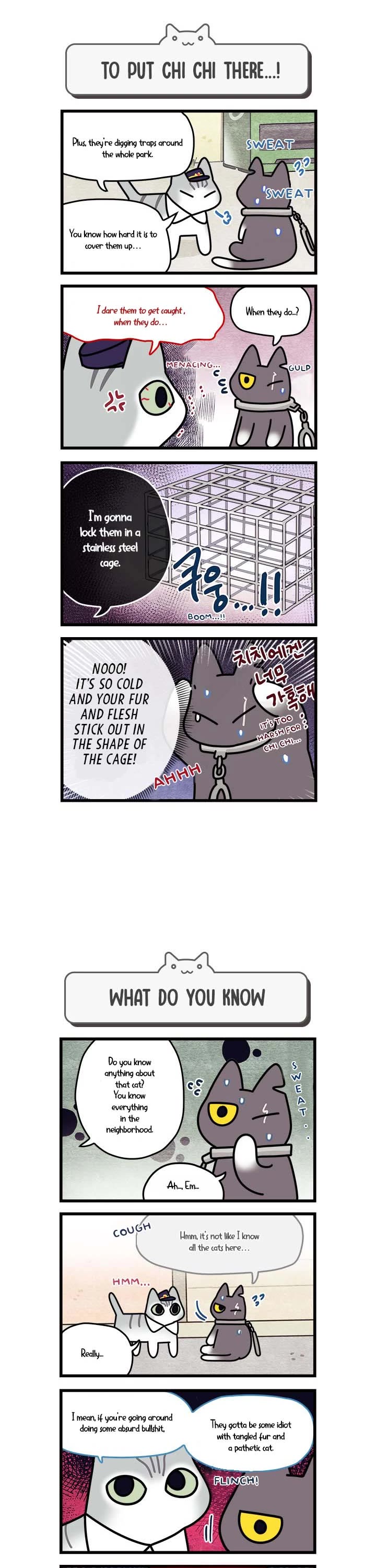 Cats Own the World chapter 56 page 2