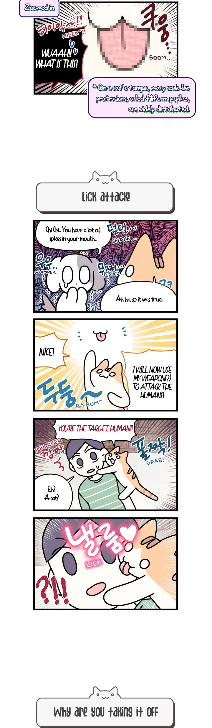 Cats Own the World chapter 67 page 3