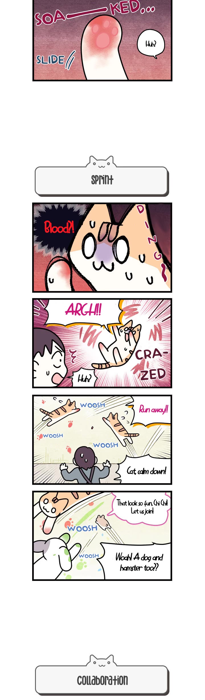 Cats Own the World chapter 71 page 3