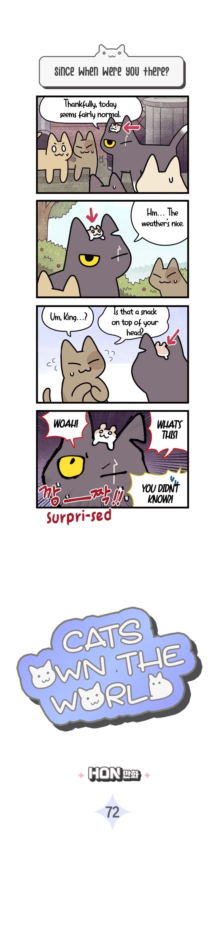 Cats Own the World chapter 72 page 1