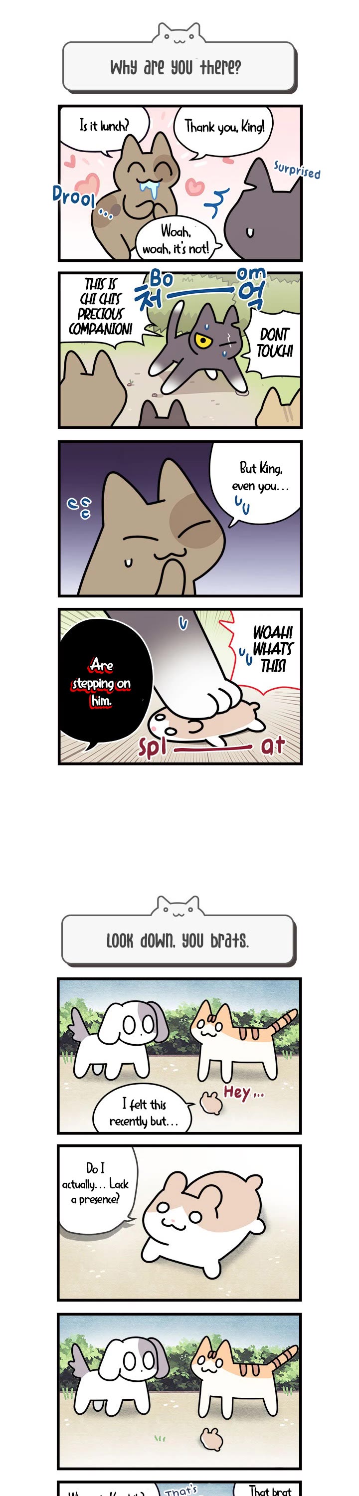 Cats Own the World chapter 72 page 2