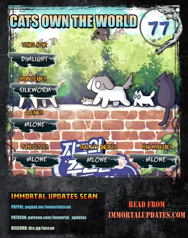 Cats Own the World chapter 77 page 1