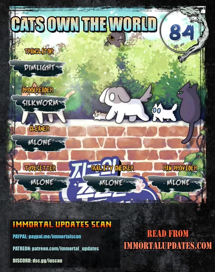 Cats Own the World chapter 84 page 1