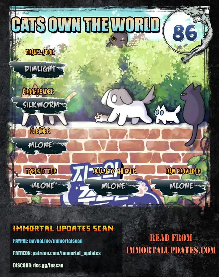 Cats Own the World chapter 86 page 1