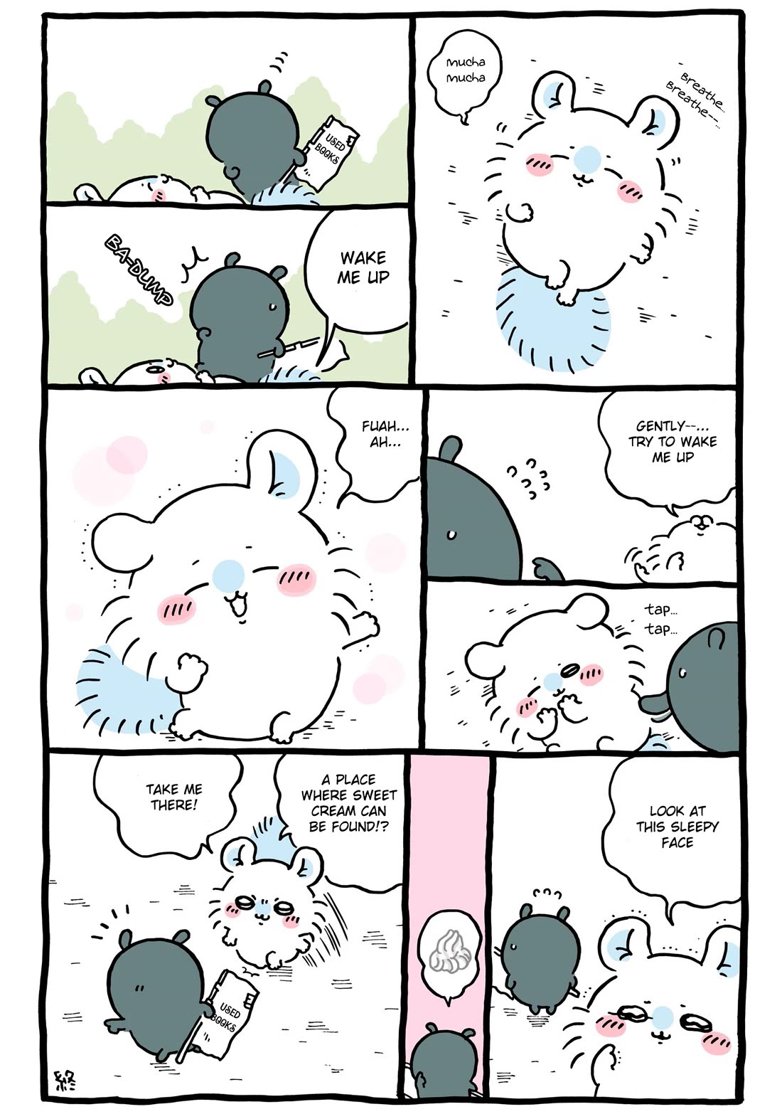 Chiikawa: Nanka Chiisakute Kawaii Yatsu chapter 111 page 2