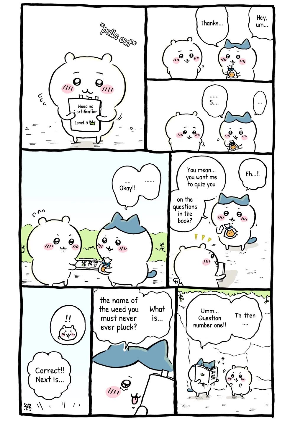 Chiikawa: Nanka Chiisakute Kawaii Yatsu chapter 20 page 14