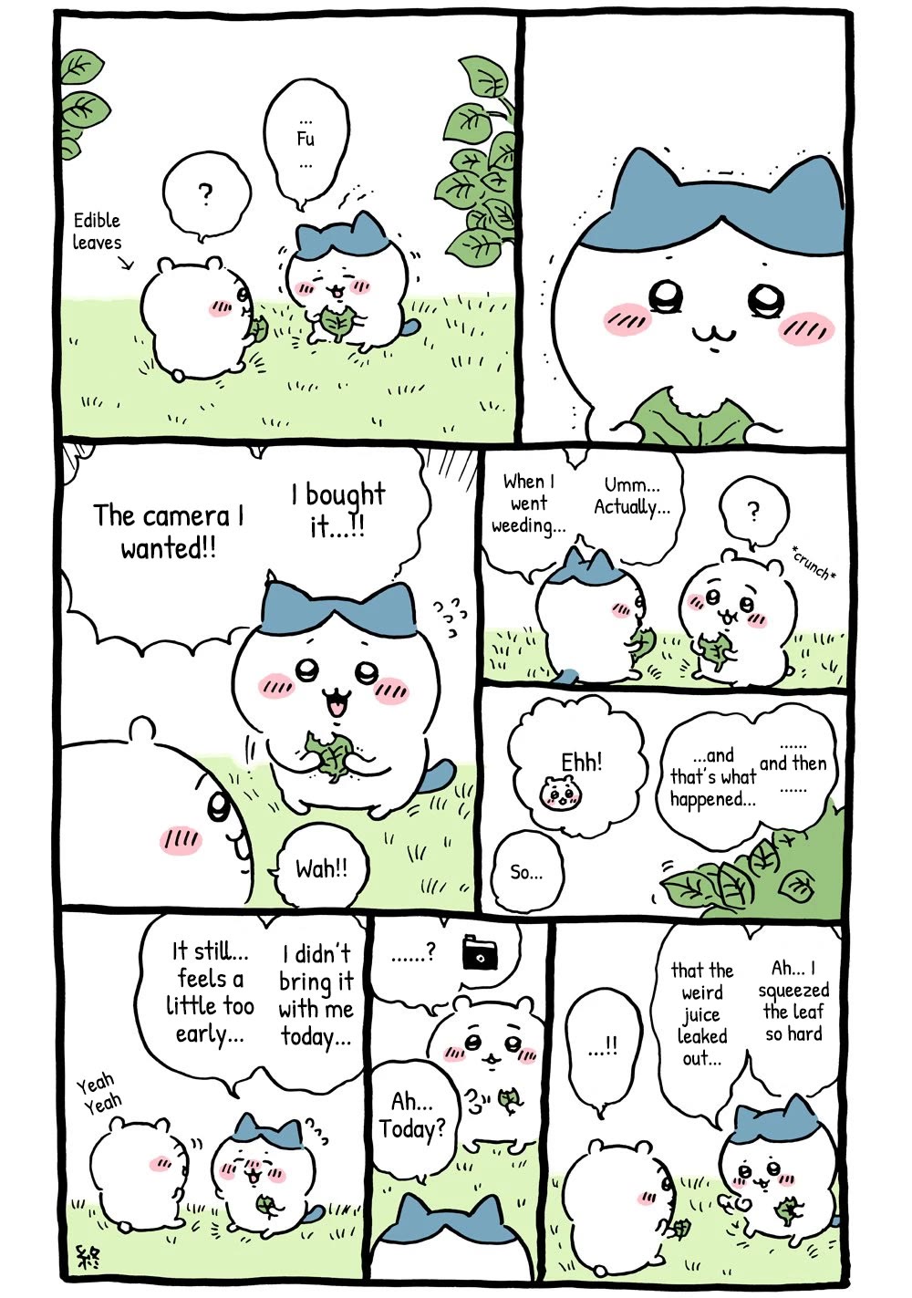 Chiikawa: Nanka Chiisakute Kawaii Yatsu chapter 25 page 2