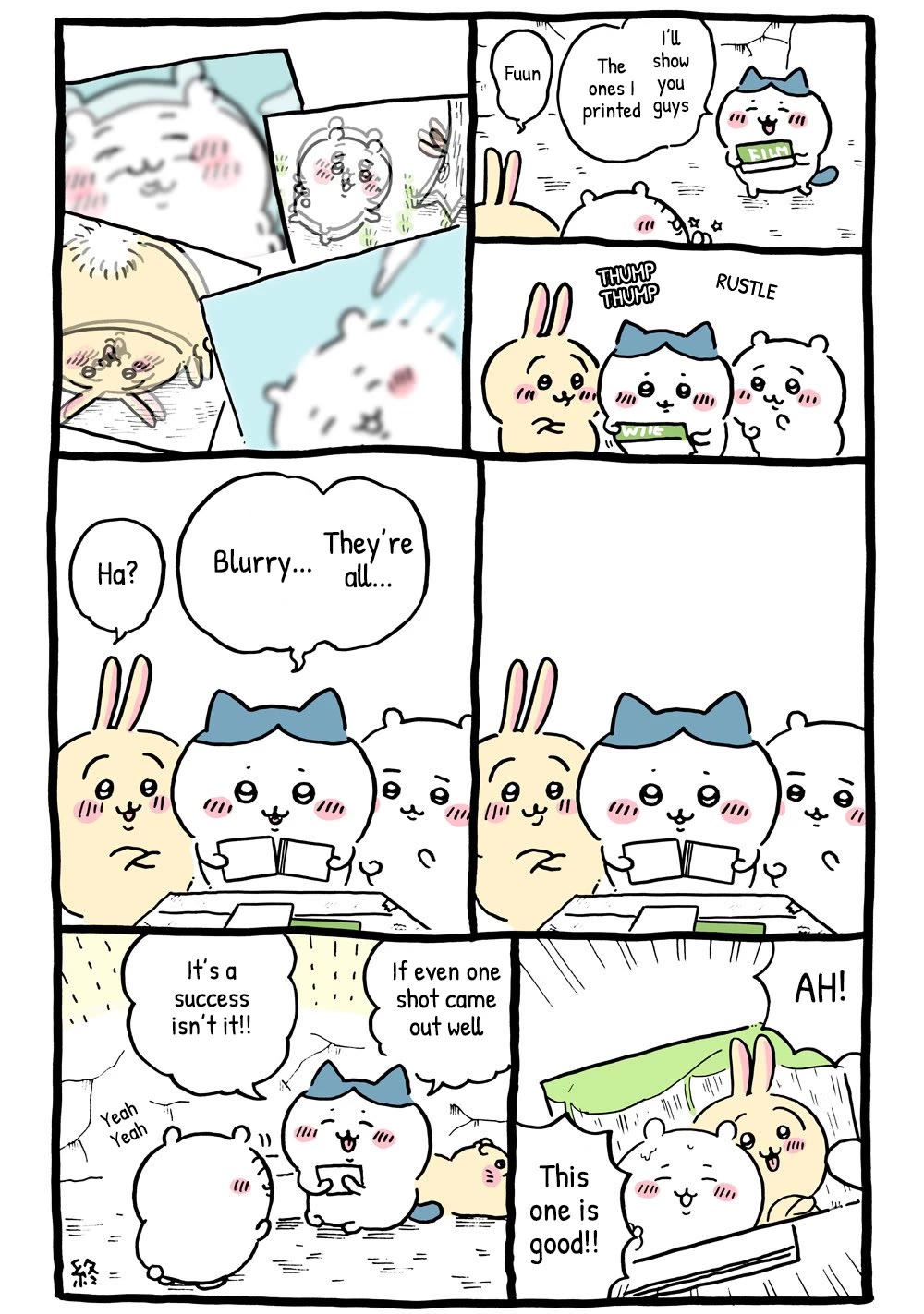 Chiikawa: Nanka Chiisakute Kawaii Yatsu chapter 25 page 8