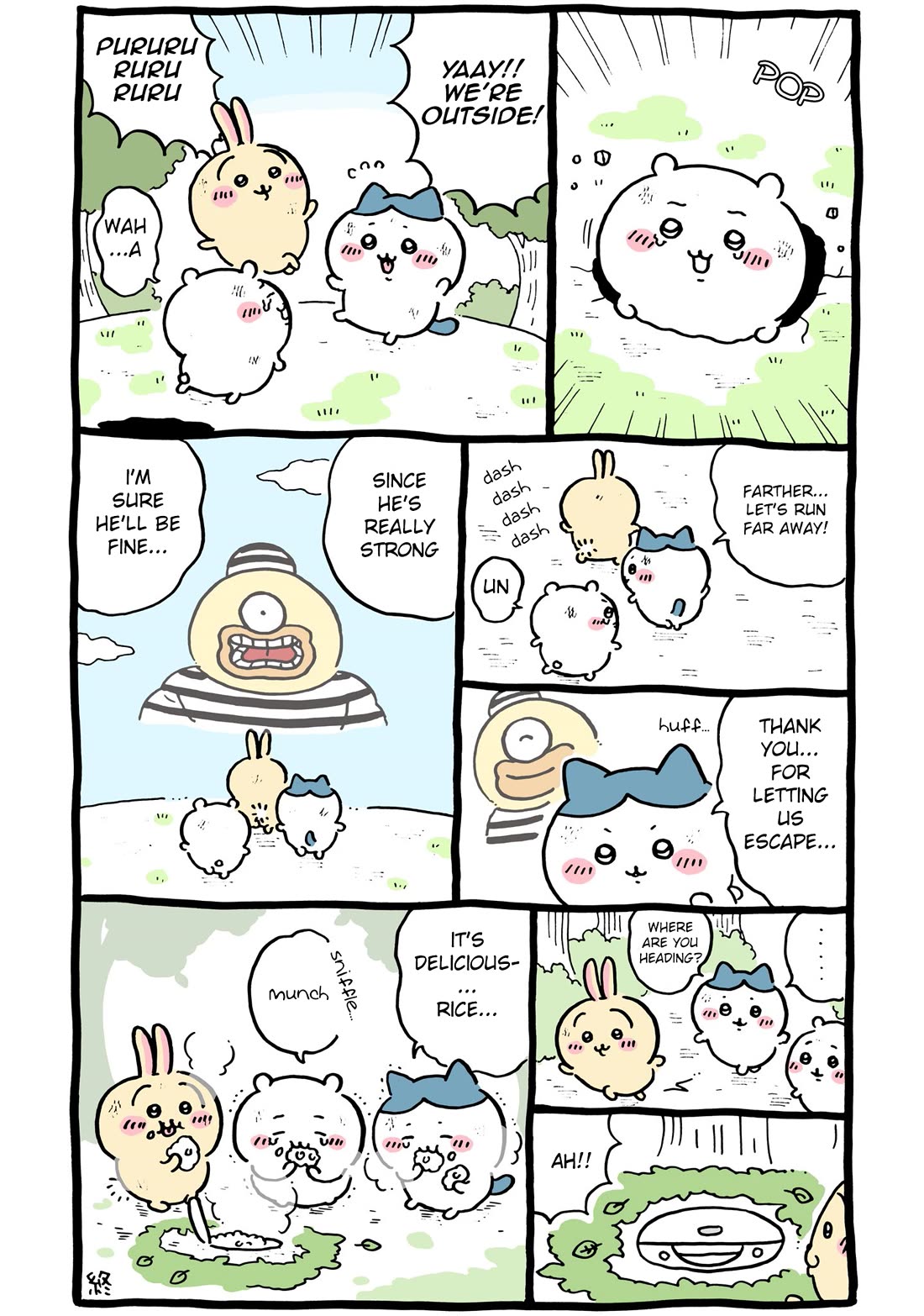 Chiikawa: Nanka Chiisakute Kawaii Yatsu chapter 75 page 12