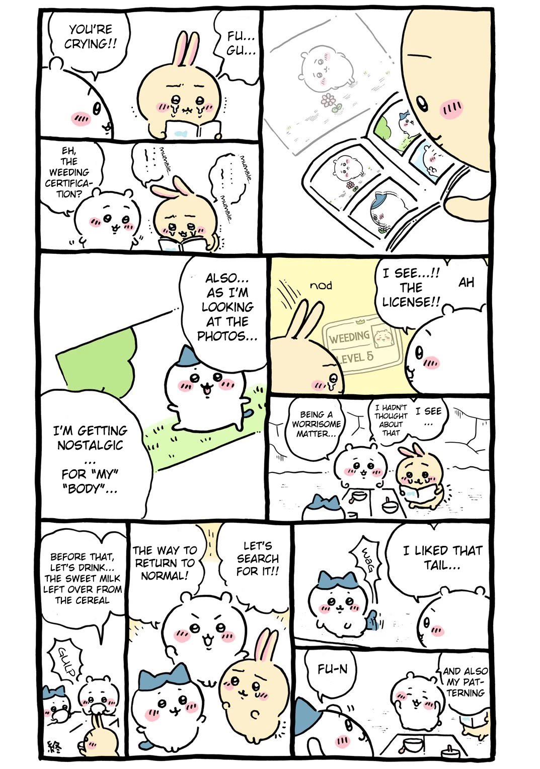 Chiikawa: Nanka Chiisakute Kawaii Yatsu chapter 80 page 12