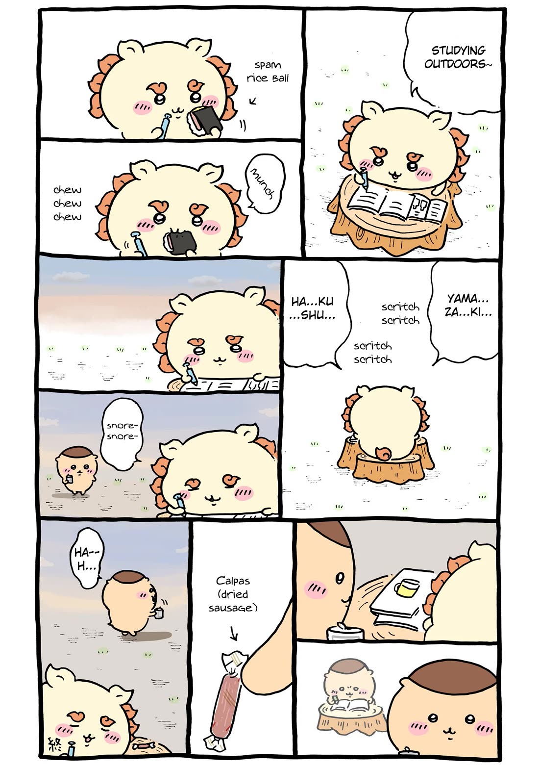 Chiikawa: Nanka Chiisakute Kawaii Yatsu chapter 94 page 1