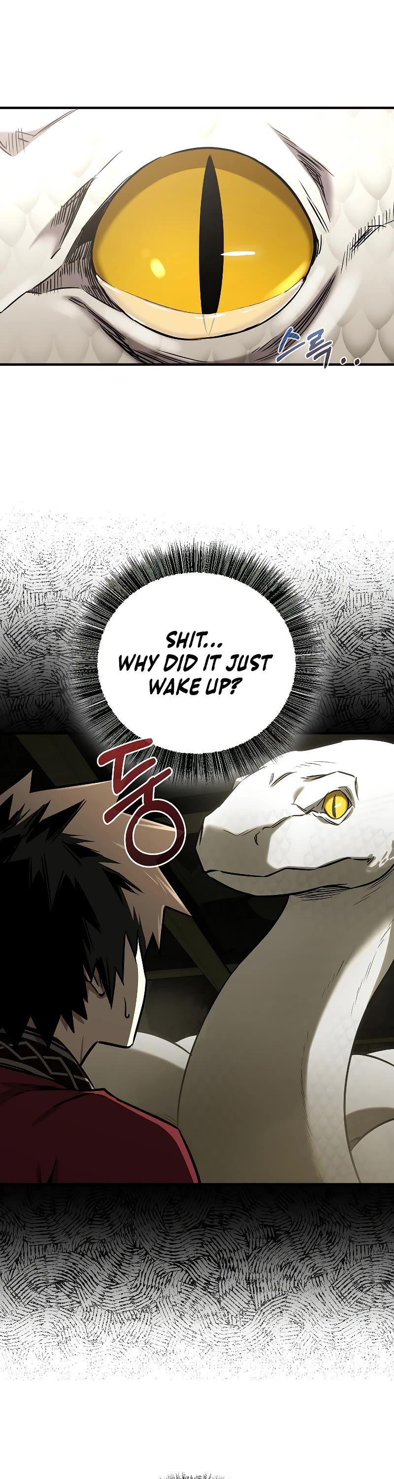 Shadow of the Supreme chapter 25 page 9