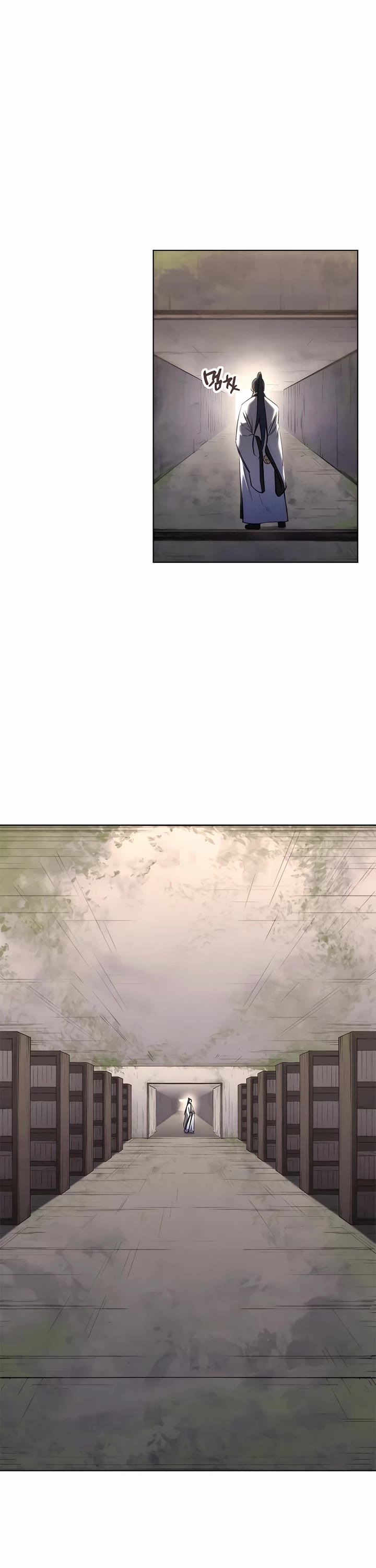 Chronicles of Heavenly Demon chapter 252 page 25